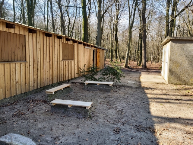 Waldhütte Außenansicht rechts