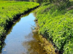 Ahrenviöler Weg Imme